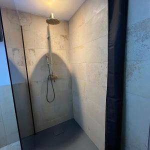 a bathroom with a shower with a shower head at Appart Massage Relax - Studio in Morbier