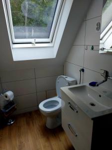 a bathroom with a toilet and a sink and a window at U Andrzeja i Ewy in Kocioł +12 photos