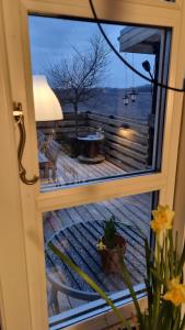 维堡Marsvinslund bed and breakfast的相册照片