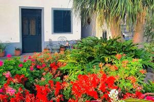 Un jardín con flores rojas frente a una casa. en Loft in Calheta Madeira, en Calheta
