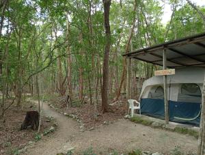 Fotografie z fotogalerie ubytování Campamento Yaax Che en Calakmul v destinaci Conhuas