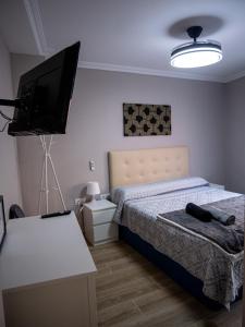 a bedroom with a bed and a flat screen tv at Casa Lavanda in Villena +16 photos