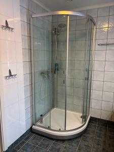 a shower with a glass door in a bathroom at Fjærestua in Hitra +27 photos