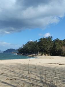 an empty beach with trees in the distance at PISO Bueu Playa in Bueu