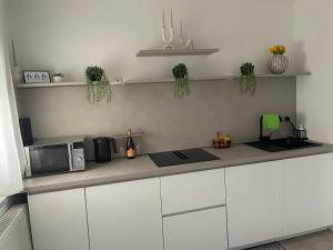 Kuchnia lub aneks kuchenny w obiekcie Orchideen Apartment