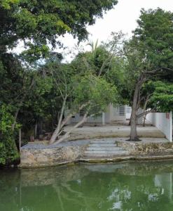 un groupe d'arbres et une masse d'eau dans l'établissement La Quinta Perez, à Huay Pix