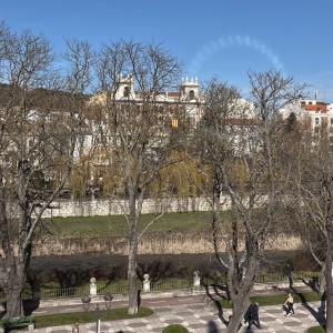 a group of people walking in a park with trees at Calera 2 in Burgos