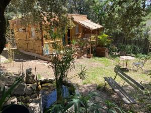a small wooden cabin with a pond in front of it at Cabane bambou in Apt