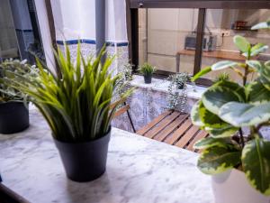 a room with potted plants sitting on a table at Casa Lavanda in Villena