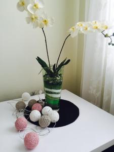 un vase rempli de fleurs blanches assises sur une table dans l'établissement Guesthouse Villa Diana, à Makarska