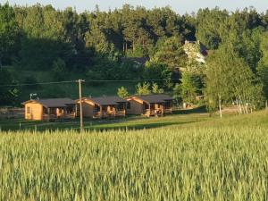 Gallery image of Domki PRZY LEŚNICZÓWCE in Wiele +57 photos