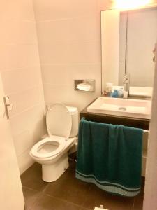 a bathroom with a white toilet and a sink at Karukéra in Saint-François
