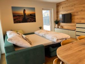 TV a/nebo společenská místnost v ubytování STEZKA horský apartmán Dolní Morava