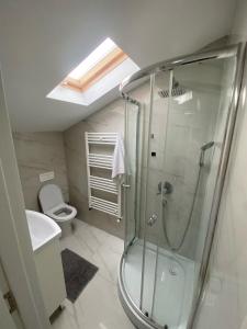 a bathroom with a shower and a toilet at ApartRadauti in Rădăuţi
