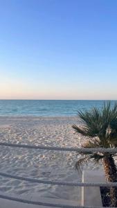 una palmera en una playa de arena con el océano en Oasis Villa Stay by Lunar, en Abu Dabi