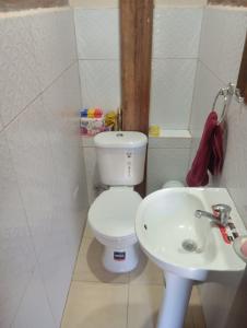 a bathroom with a white toilet and a sink at Gardenias Suites Ambuquí Valle de la Eterna Juventud in Hacienda Opote