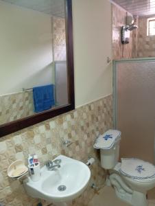 a bathroom with a sink and a toilet and a mirror at Gardenias Suites Ambuquí Valle de la Eterna Juventud in Hacienda Opote