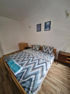 马夫罗沃Borjan Apartment Mavrovo的房间里有一张大床的卧室