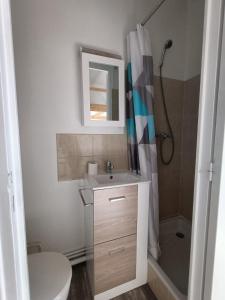 a bathroom with a toilet and a sink and a shower at appartement cosy et central in Rennes