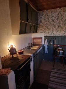 a small kitchen with a sink and a stove at Skogsgläntan in Åshuvud
