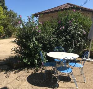 a table and two chairs and a table and a bush at Pîgeonnier du Rau avec Parc et piscine 1-0 in Gamarde-les-Bains