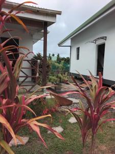 Galeriebild der Unterkunft Fare Api Moorea Sands in Vaipeu