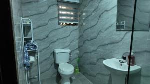 a bathroom with a toilet and a sink at Sultan Apartments Lagos in Lagos