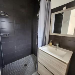 a bathroom with a sink and a shower at Appartement au coeur de la ville in Nice