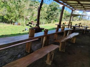 Fotografie z fotogalerie ubytování Finca Vegonia Arqueológica v destinaci Saladoblanco