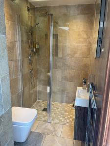 a bathroom with a shower and a toilet and a sink at Coaltown Cottage Cosy 4 bed cottage with log burner, close to Gower beaches in Dunvant
