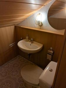 a small bathroom with a sink and a toilet at Ferienwohnung am Steinweg in Solingen +23 photos