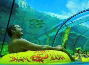 a man sitting on a surfboard in an aquarium at Olimpus Apart Leasure in Costa de Adeje