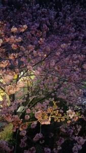 Giardino di 薔薇谷 民宿字108號