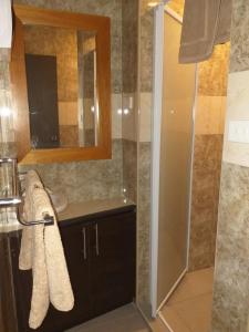 un bagno con doccia, lavandino e specchio di Apt 2 Great Mountain Views In Nadi , My Ecolodge a Nadi