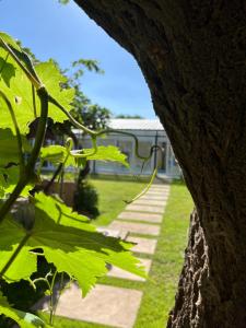 - une vue sur un jardin avec un bâtiment en arrière-plan dans l'établissement Host Patagonia, à Plaza Huincul