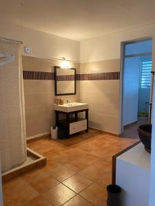 un baño con lavabo y espejo en La Brise du Levant, en Capesterre