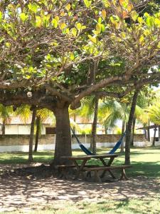 ジャパラティンガにあるCasa Vovó Maria - Japaratingaの公園内の木下ハンモック +15枚の写真