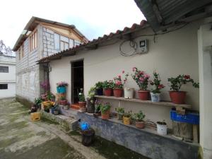 a bunch of potted plants sitting on a building at Casa Pájaro Azul - Isinliví in Hacienda La Provincia