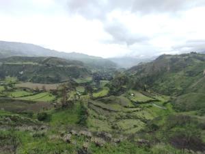 Příroda nedaleko kempu