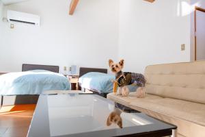Letto o letti in una camera di Le Nessa Akazawa