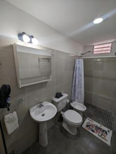 a bathroom with a toilet and a sink at Departamento en Planta baja, centrico, cochera cubierta Sarmiento265apart D7 in San Fernando del Valle de Catamarca