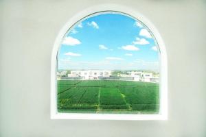 Fotografie z fotogalerie ubytování Ivy Canggu v destinaci Canggu