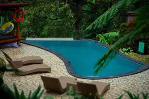 Πισίνα στο ή κοντά στο Bali Jungle Camping by Amerta Experience +53 φωτογραφίες