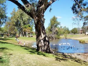 Bilde i galleriet til Best Western Bungil Creek Motel i Roma