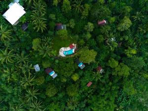 an overhead view of a house in the forest at Bali Jungle Camping by Amerta Experience in Tabanan