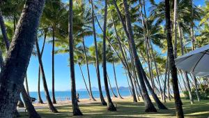 Un grupo de palmeras en una playa con una sombrilla. en Villa One 4 min stroll to beach, en Kewarra Beach