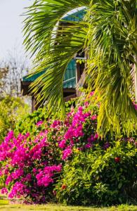 Gallery image of Ratanakiri Paradise Hotel & Restaurant in Banlung +150 photos