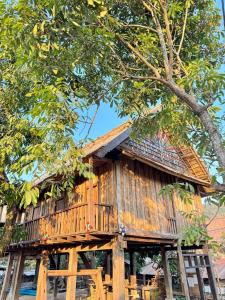 a tree house in the middle of a tree at Ban Anoulak - Cultural Preservation Village in Nam Bak