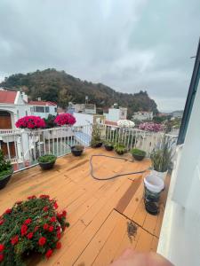 Una terraza con plantas en macetas y flores. en MINH HUY HOUSE Mộc Châu, en Mộc Châu