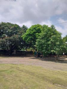 Gallery image of Doña Mary Caribbean House in Moín